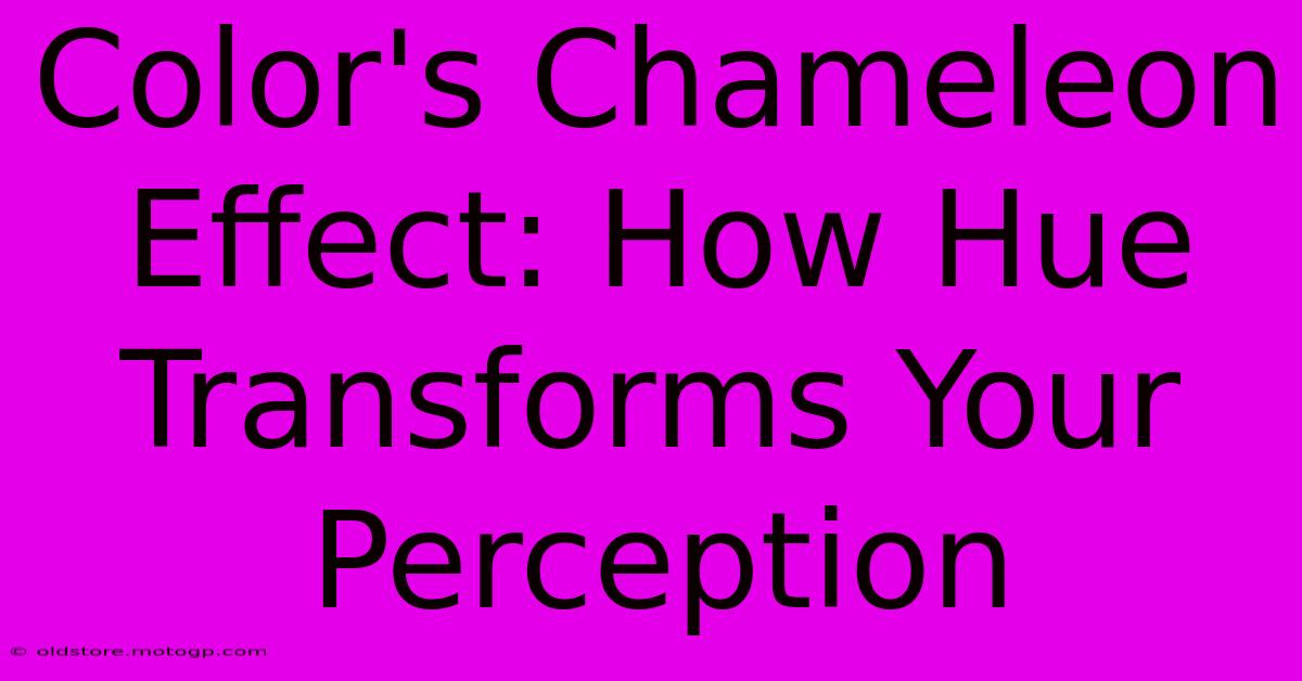 Color's Chameleon Effect: How Hue Transforms Your Perception