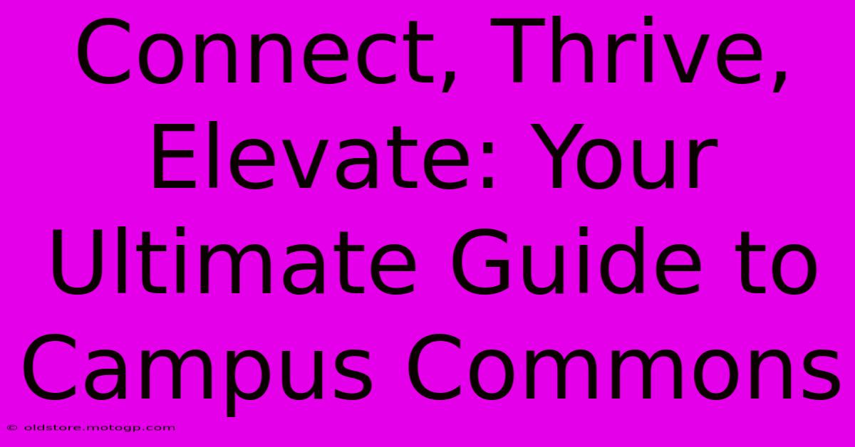 Connect, Thrive, Elevate: Your Ultimate Guide To Campus Commons