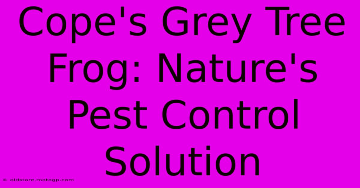 Cope's Grey Tree Frog: Nature's Pest Control Solution