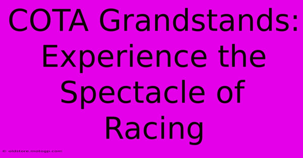 COTA Grandstands:  Experience The Spectacle Of Racing