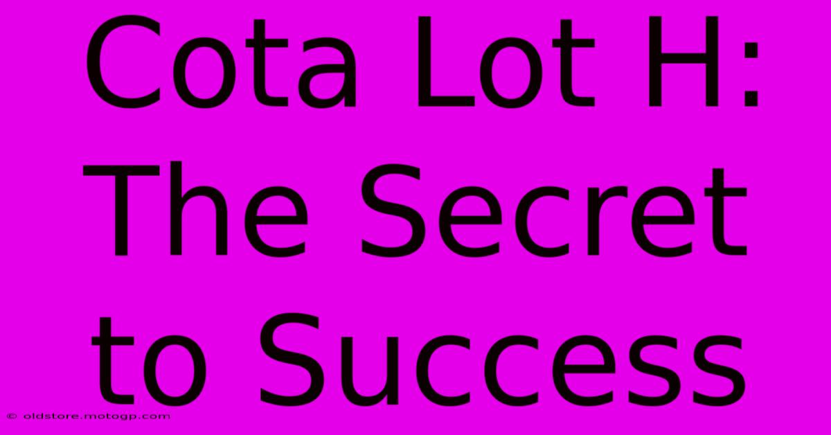 Cota Lot H: The Secret To Success