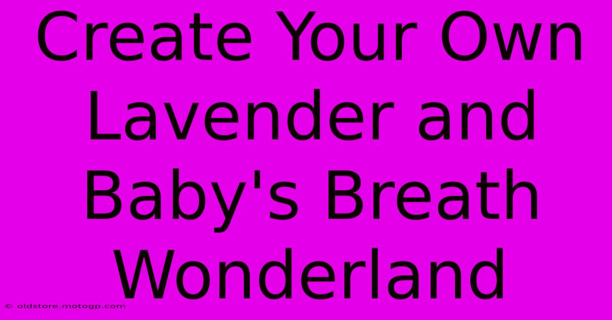 Create Your Own Lavender And Baby's Breath Wonderland