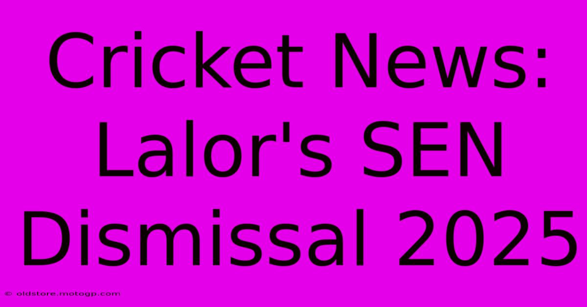 Cricket News: Lalor's SEN Dismissal 2025