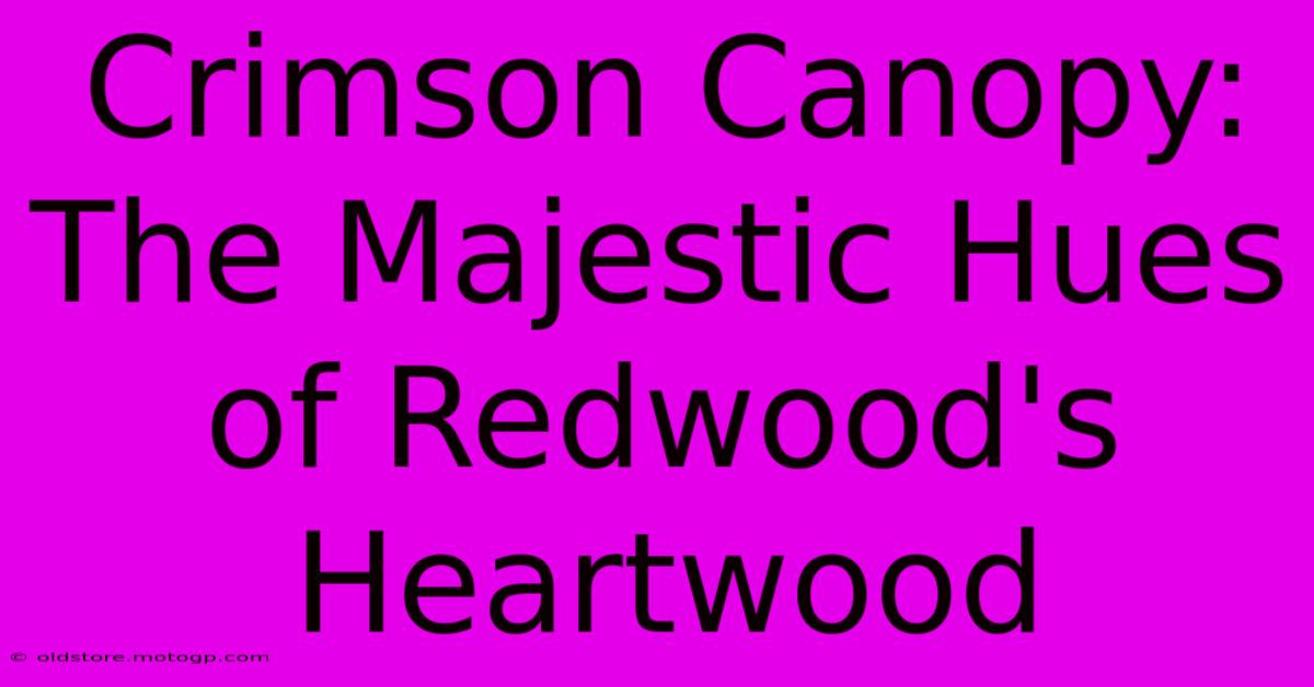 Crimson Canopy: The Majestic Hues Of Redwood's Heartwood