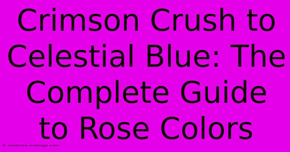 Crimson Crush To Celestial Blue: The Complete Guide To Rose Colors