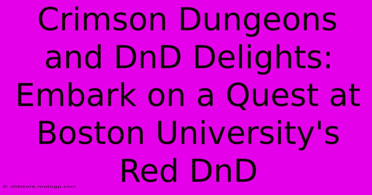 Crimson Dungeons And DnD Delights: Embark On A Quest At Boston University's Red DnD