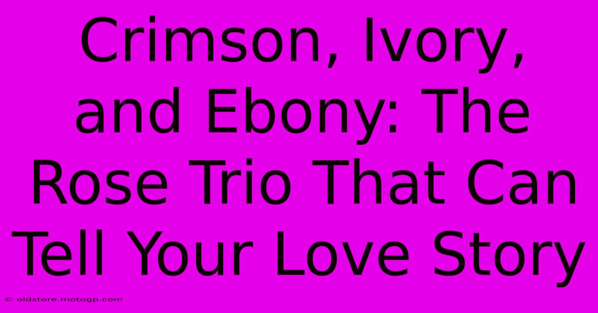 Crimson, Ivory, And Ebony: The Rose Trio That Can Tell Your Love Story