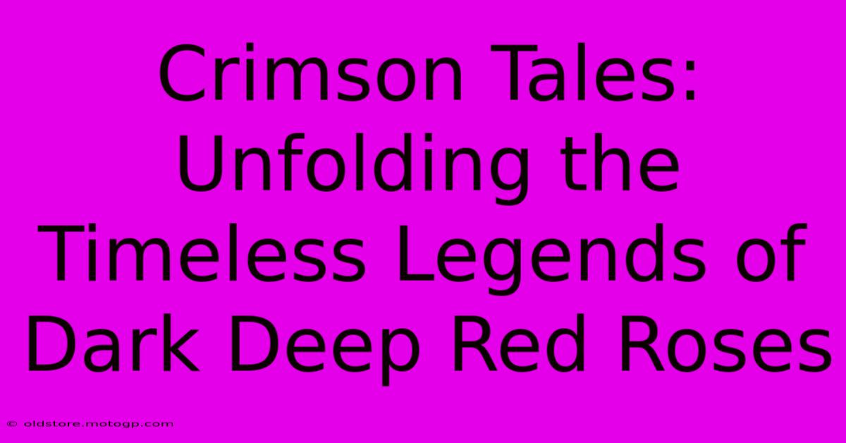 Crimson Tales: Unfolding The Timeless Legends Of Dark Deep Red Roses