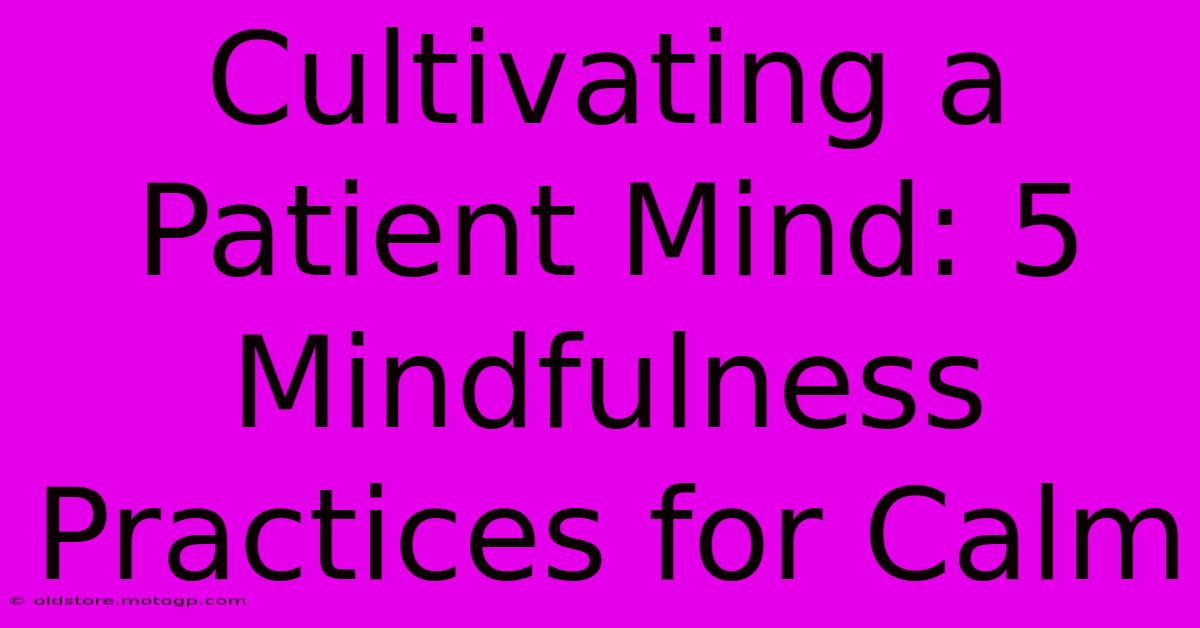 Cultivating A Patient Mind: 5 Mindfulness Practices For Calm