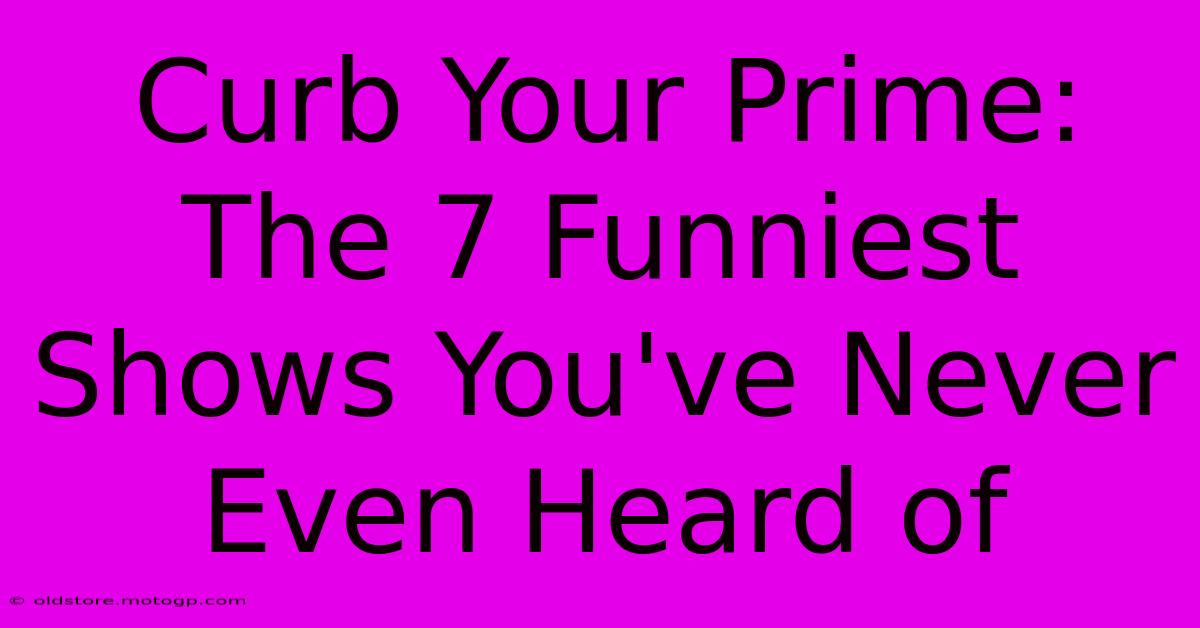 Curb Your Prime: The 7 Funniest Shows You've Never Even Heard Of