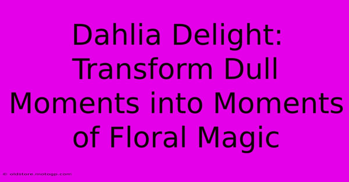 Dahlia Delight: Transform Dull Moments Into Moments Of Floral Magic