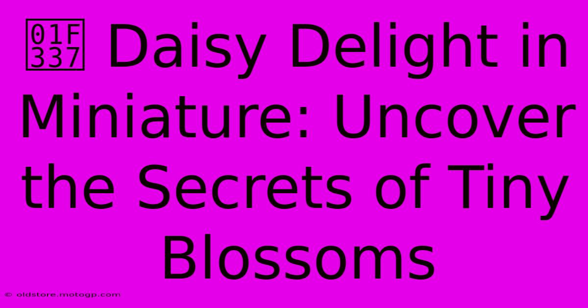 🌷 Daisy Delight In Miniature: Uncover The Secrets Of Tiny Blossoms