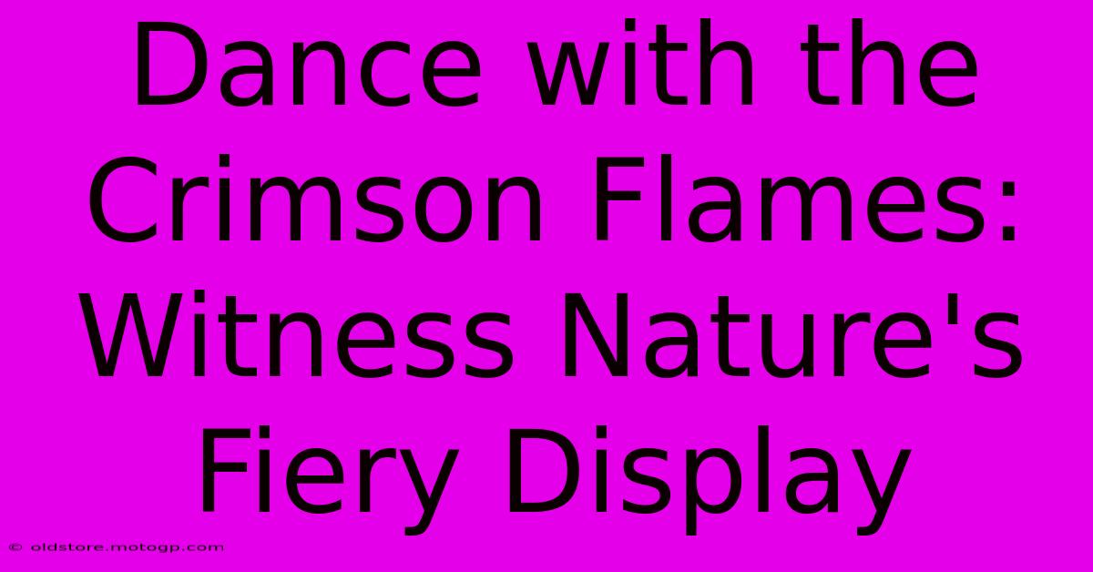 Dance With The Crimson Flames: Witness Nature's Fiery Display