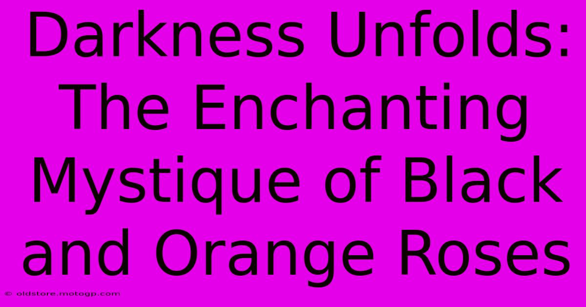 Darkness Unfolds: The Enchanting Mystique Of Black And Orange Roses