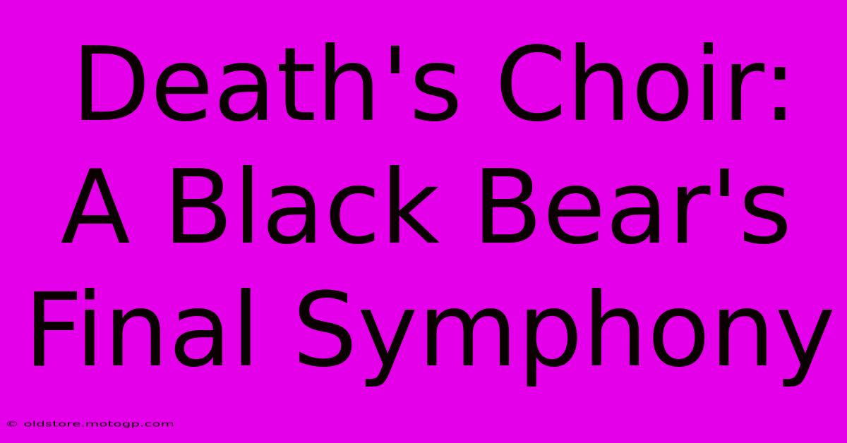 Death's Choir: A Black Bear's Final Symphony