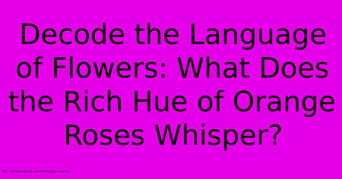 Decode The Language Of Flowers: What Does The Rich Hue Of Orange Roses Whisper?