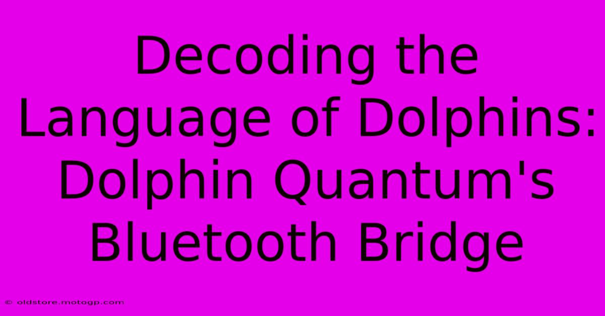 Decoding The Language Of Dolphins: Dolphin Quantum's Bluetooth Bridge