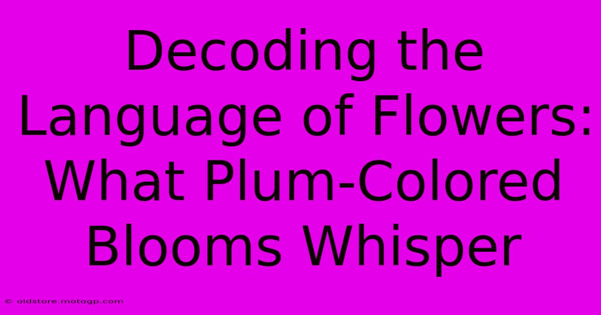 Decoding The Language Of Flowers: What Plum-Colored Blooms Whisper