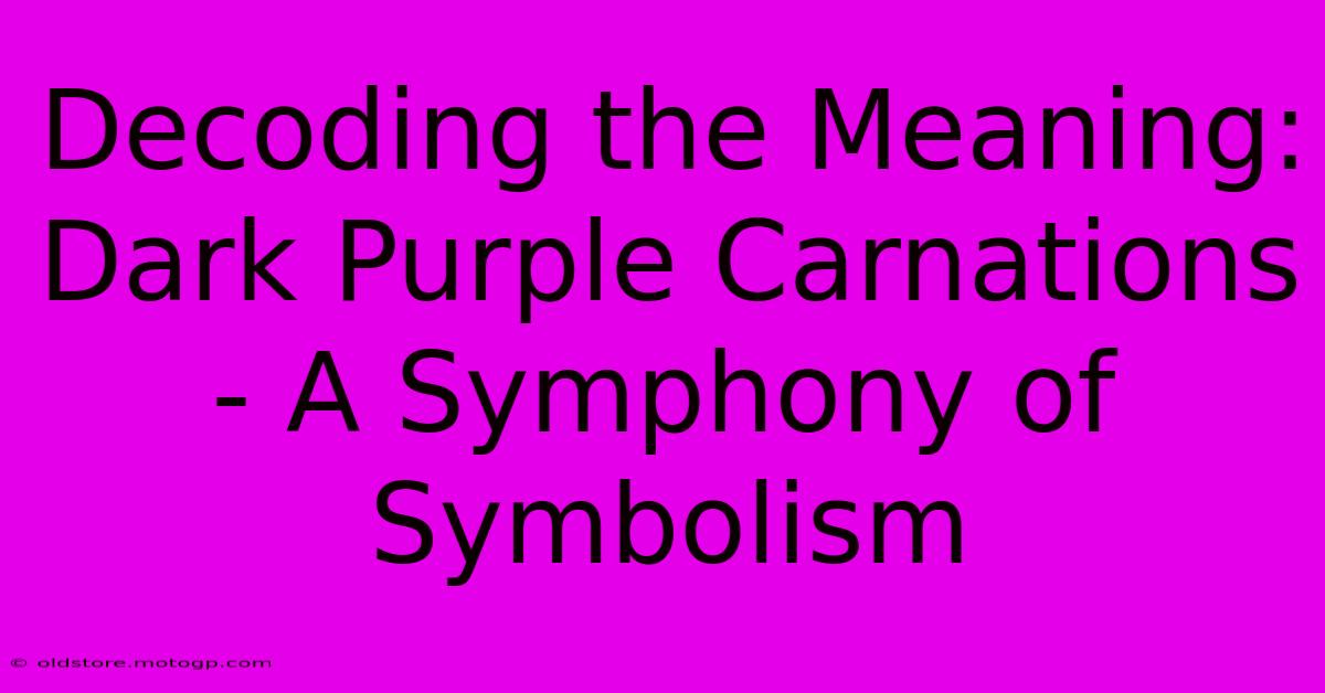 Decoding The Meaning: Dark Purple Carnations - A Symphony Of Symbolism