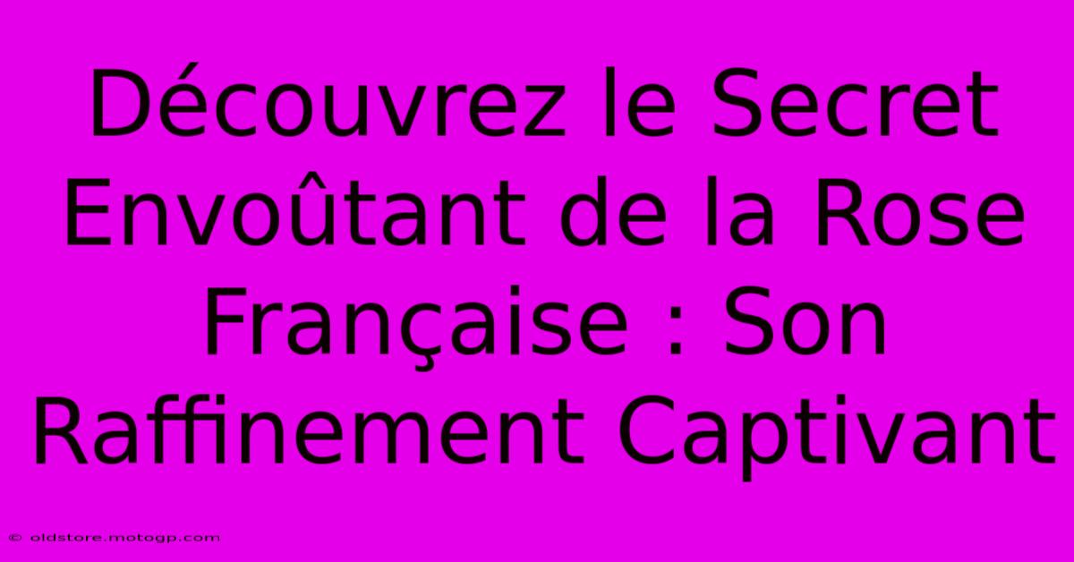 Découvrez Le Secret Envoûtant De La Rose Française : Son Raffinement Captivant