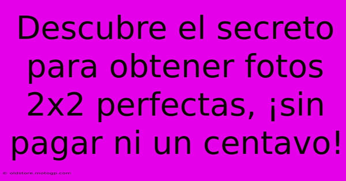 Descubre El Secreto Para Obtener Fotos 2x2 Perfectas, ¡sin Pagar Ni Un Centavo!