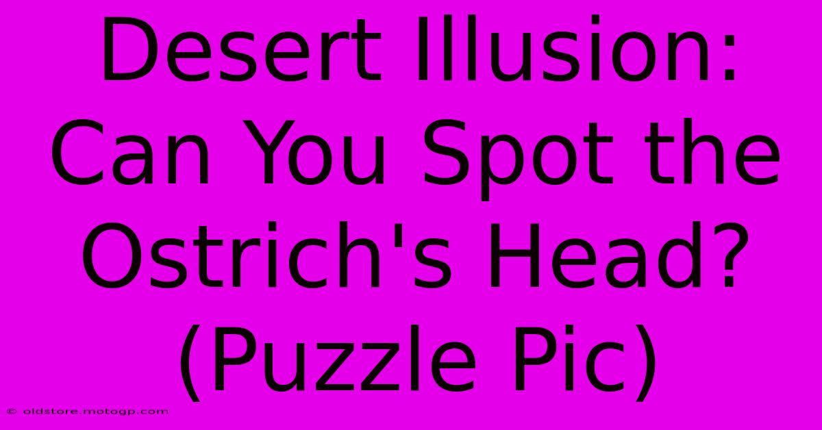 Desert Illusion: Can You Spot The Ostrich's Head? (Puzzle Pic)