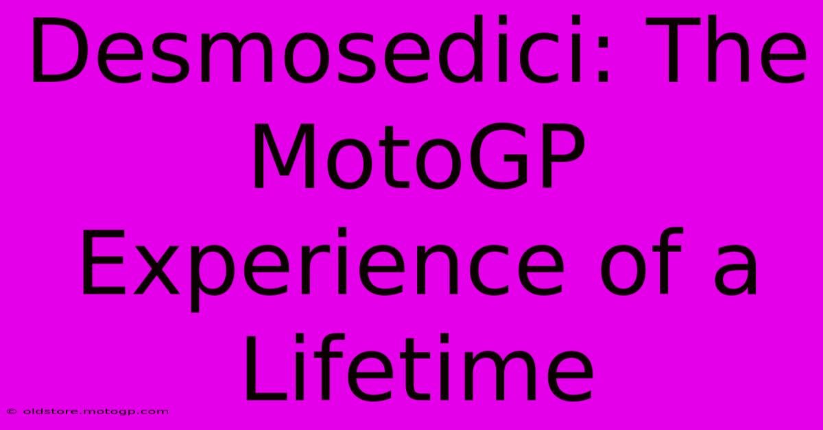 Desmosedici: The MotoGP Experience Of A Lifetime