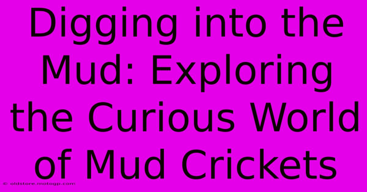 Digging Into The Mud: Exploring The Curious World Of Mud Crickets