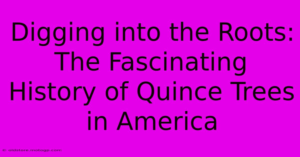 Digging Into The Roots: The Fascinating History Of Quince Trees In America