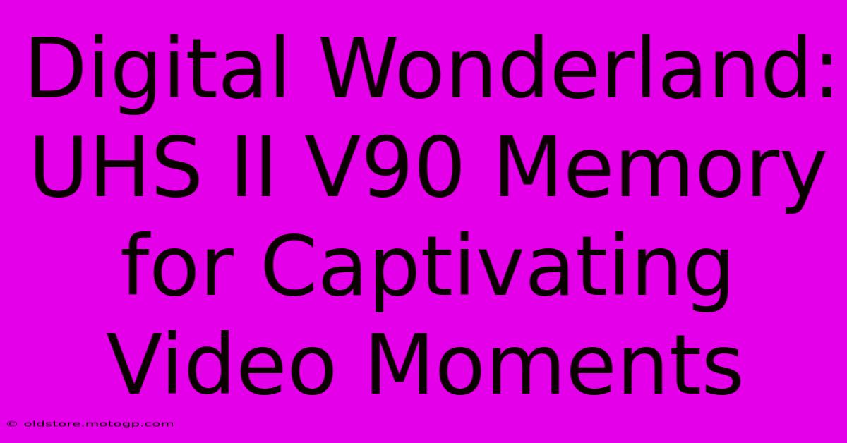 Digital Wonderland: UHS II V90 Memory For Captivating Video Moments