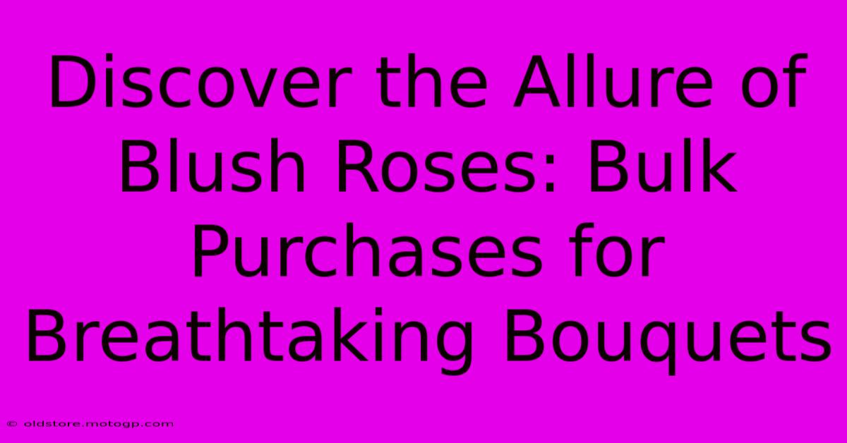 Discover The Allure Of Blush Roses: Bulk Purchases For Breathtaking Bouquets