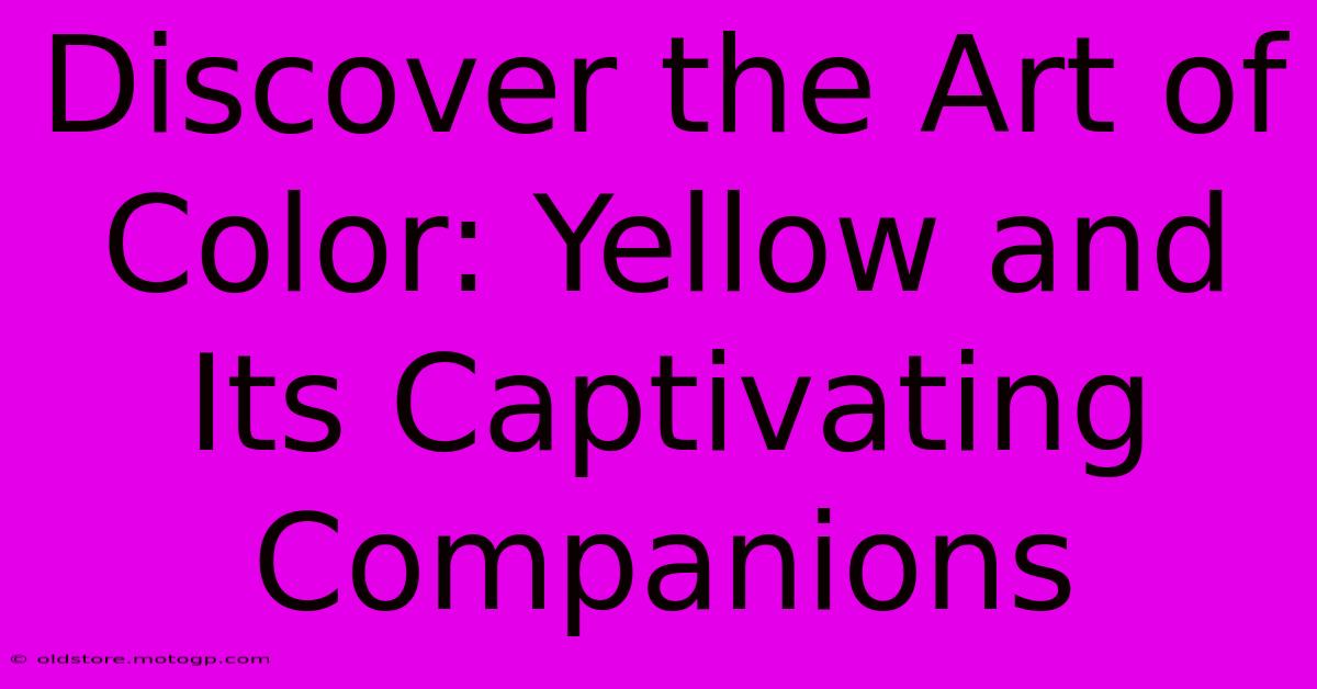 Discover The Art Of Color: Yellow And Its Captivating Companions