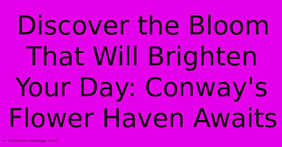 Discover The Bloom That Will Brighten Your Day: Conway's Flower Haven Awaits