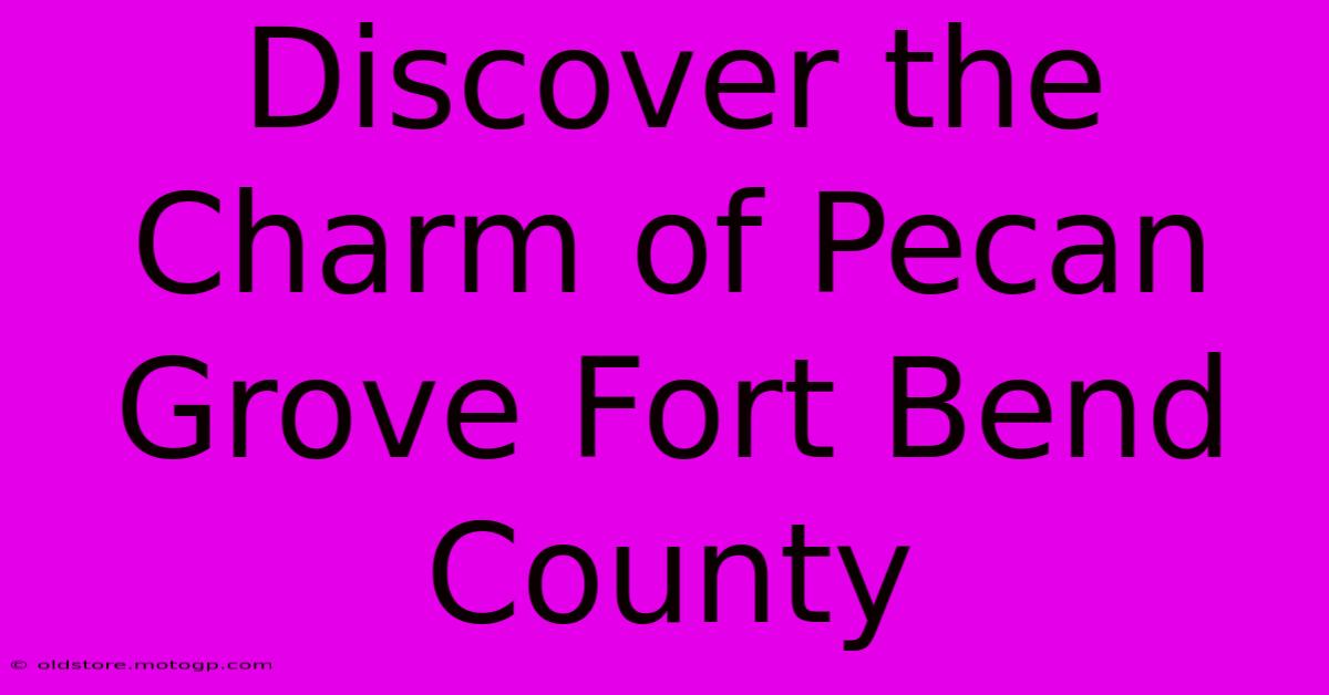 Discover The Charm Of Pecan Grove Fort Bend County