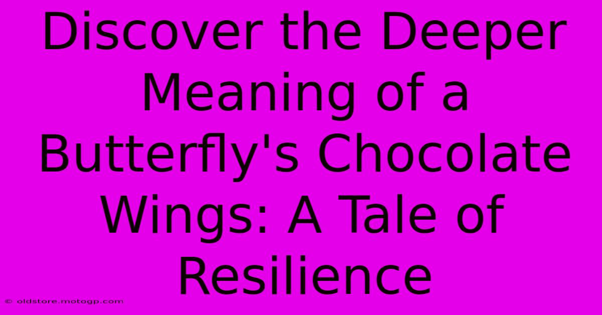 Discover The Deeper Meaning Of A Butterfly's Chocolate Wings: A Tale Of Resilience