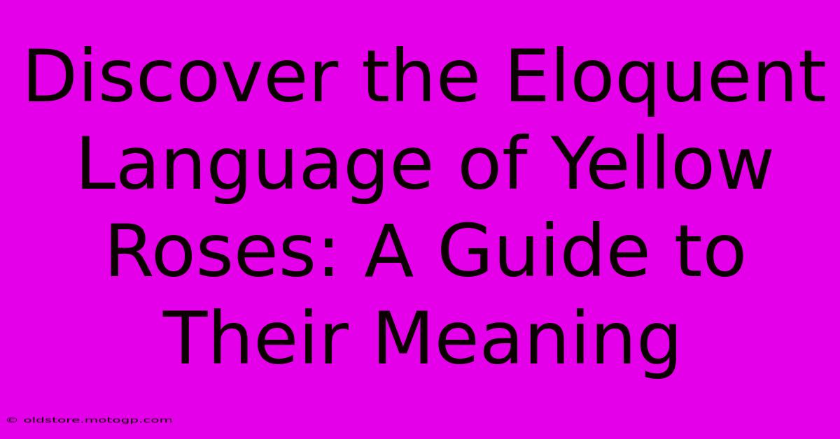 Discover The Eloquent Language Of Yellow Roses: A Guide To Their Meaning