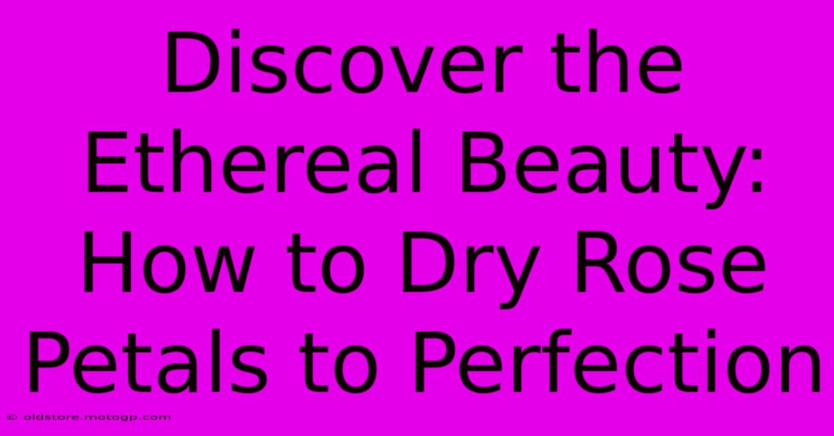 Discover The Ethereal Beauty: How To Dry Rose Petals To Perfection