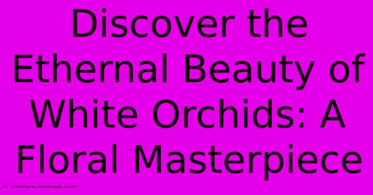 Discover The Ethernal Beauty Of White Orchids: A Floral Masterpiece