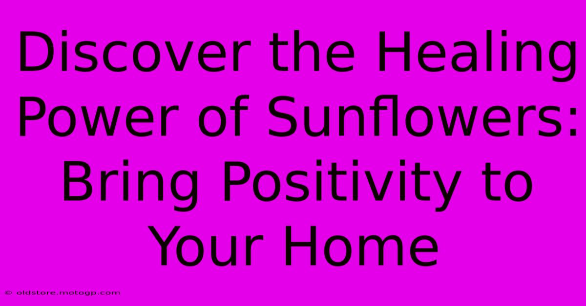 Discover The Healing Power Of Sunflowers: Bring Positivity To Your Home