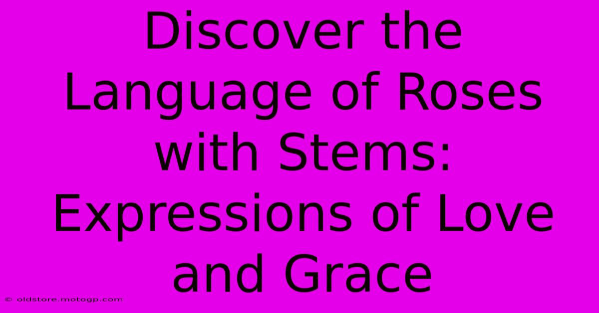 Discover The Language Of Roses With Stems: Expressions Of Love And Grace