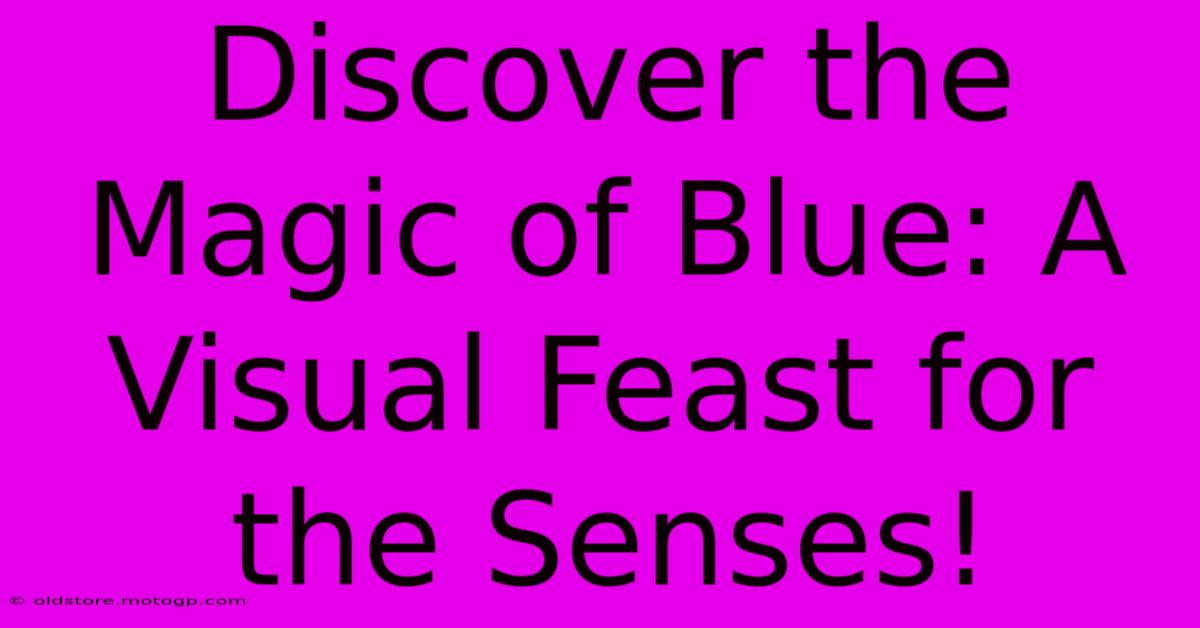 Discover The Magic Of Blue: A Visual Feast For The Senses!