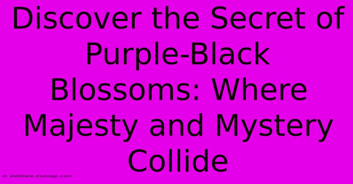 Discover The Secret Of Purple-Black Blossoms: Where Majesty And Mystery Collide