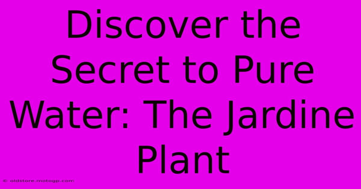 Discover The Secret To Pure Water: The Jardine Plant