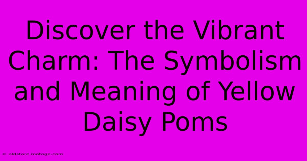 Discover The Vibrant Charm: The Symbolism And Meaning Of Yellow Daisy Poms