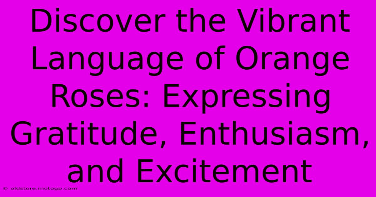 Discover The Vibrant Language Of Orange Roses: Expressing Gratitude, Enthusiasm, And Excitement