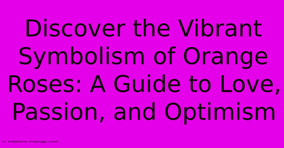 Discover The Vibrant Symbolism Of Orange Roses: A Guide To Love, Passion, And Optimism