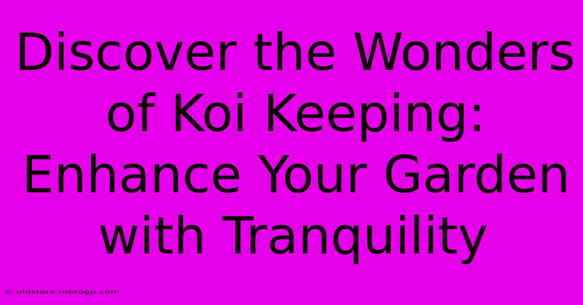 Discover The Wonders Of Koi Keeping: Enhance Your Garden With Tranquility