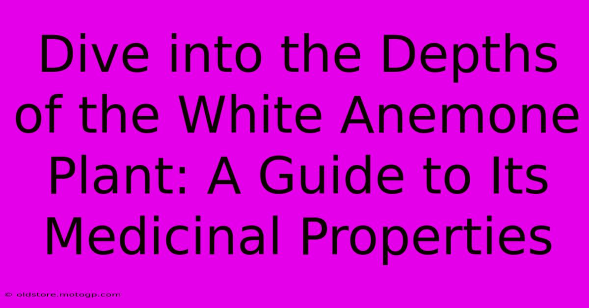 Dive Into The Depths Of The White Anemone Plant: A Guide To Its Medicinal Properties