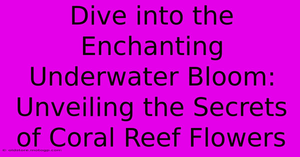 Dive Into The Enchanting Underwater Bloom: Unveiling The Secrets Of Coral Reef Flowers