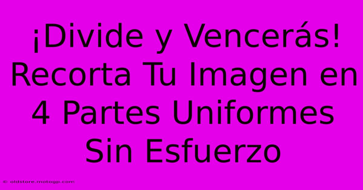 ¡Divide Y Vencerás! Recorta Tu Imagen En 4 Partes Uniformes Sin Esfuerzo